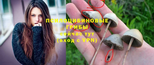 герыч Новозыбков