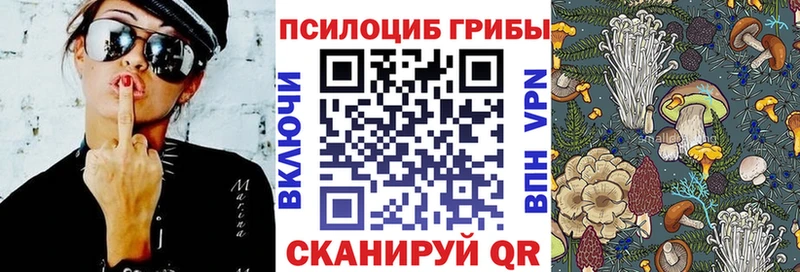 MEGA сайты даркнета клад Псилоцибиновые грибы Magic Shrooms Мирный