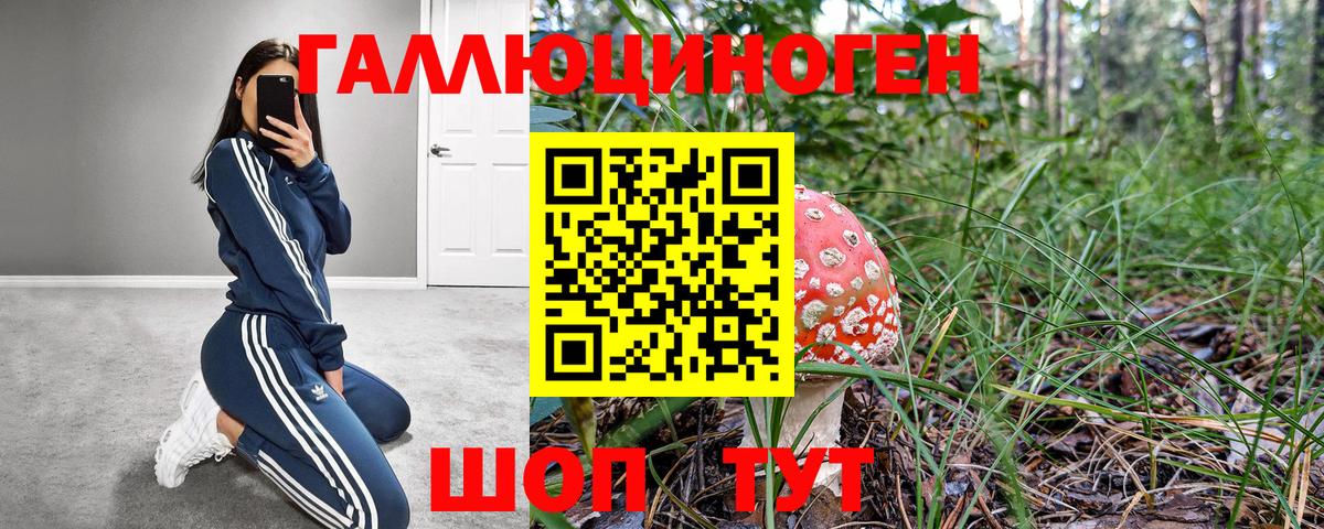Мирный  Галлюциногенные грибы MAGIC MUSHROOMS  Вход с VPN 