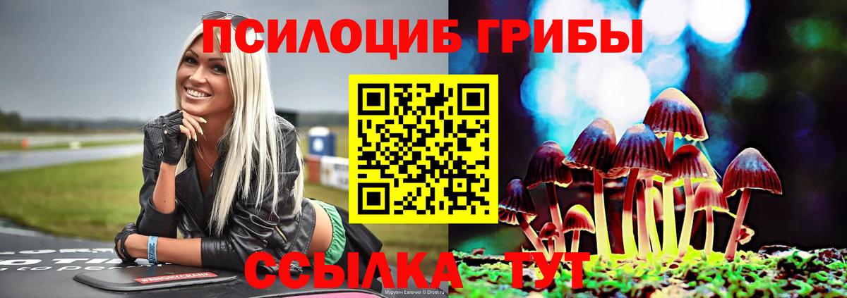 Псилоцибиновые грибы мухоморы Мирный